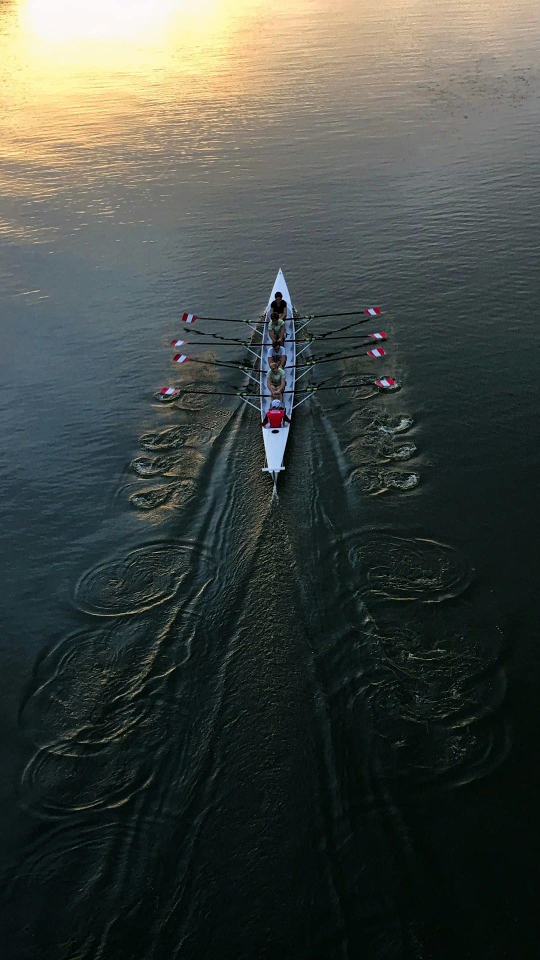 Rowing team in a white scull boat on calm water at sunrise.